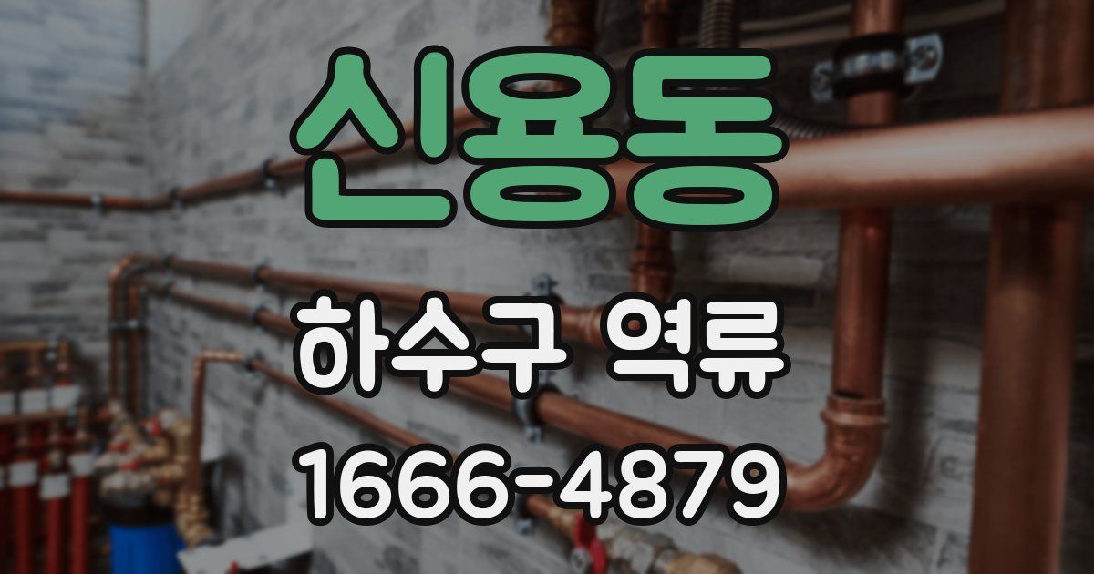신용동 하수구 역류