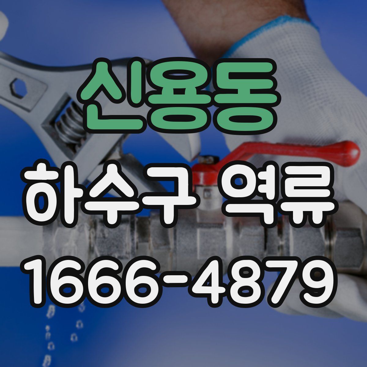 신용동 하수구 역류