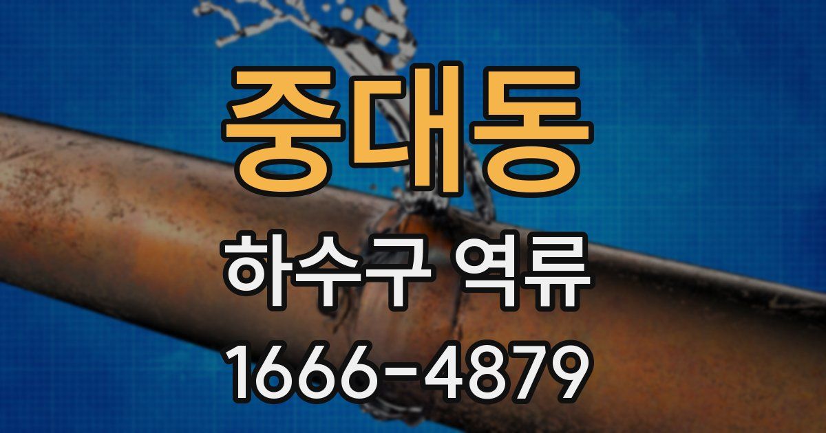 중대동 하수구 역류