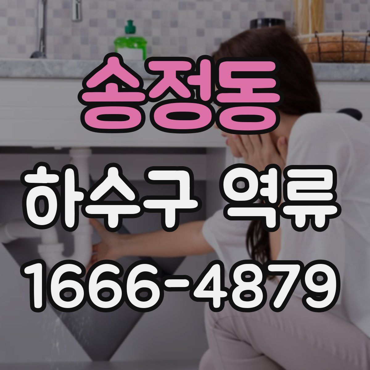 송정동 하수구 역류