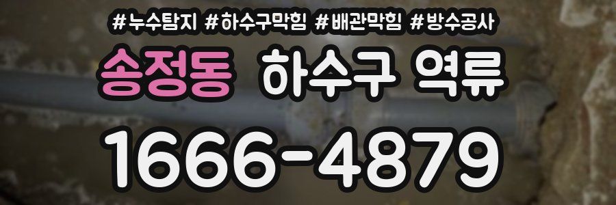 송정동 하수구 역류