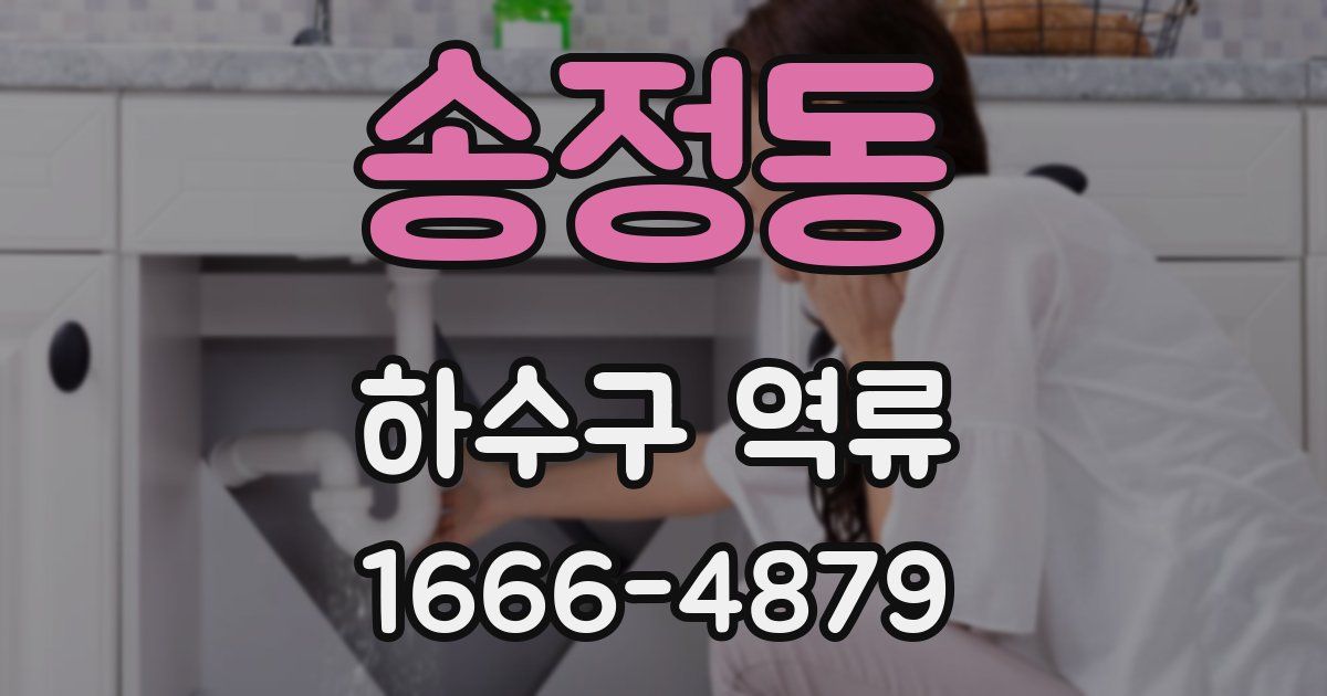 송정동 하수구 역류