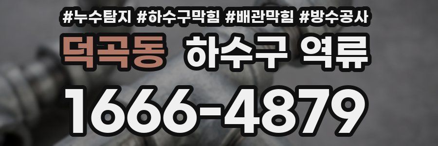 덕곡동 하수구 역류