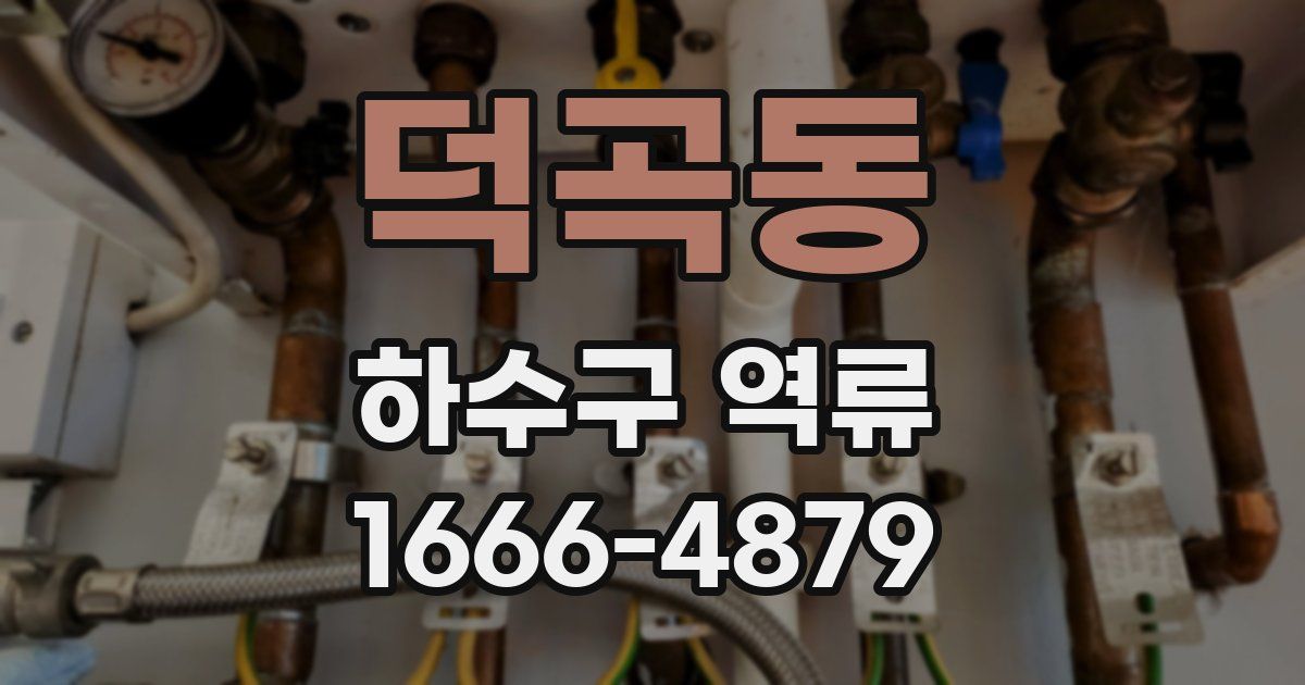 덕곡동 하수구 역류