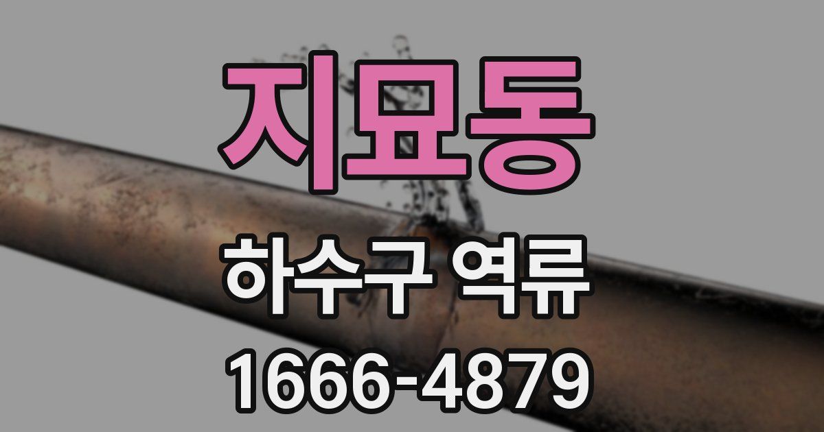 지묘동 하수구 역류
