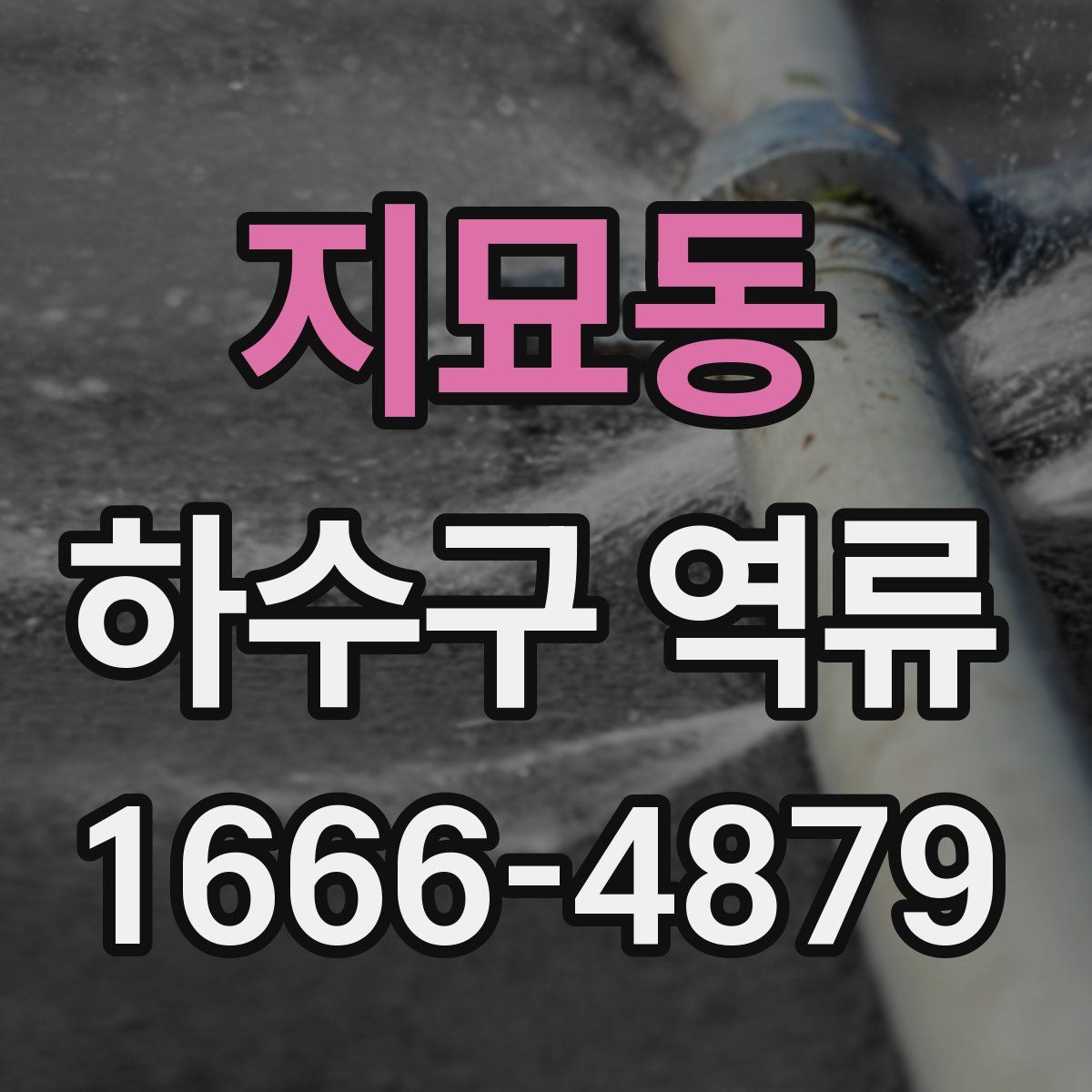 지묘동 하수구 역류