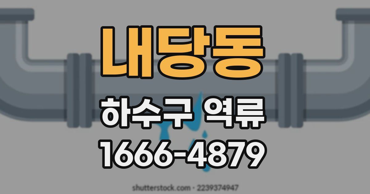 내당동 하수구 역류