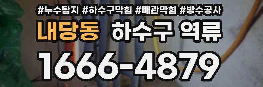 내당동 하수구 역류