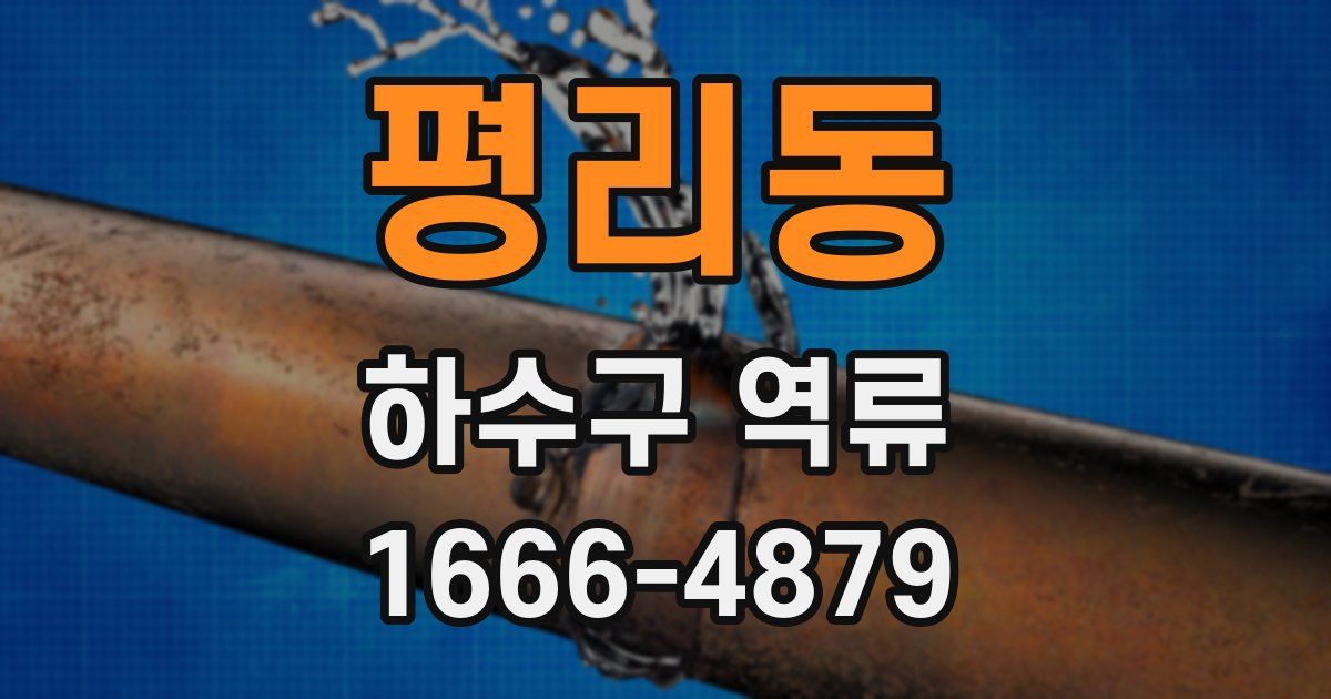평리동 하수구 역류