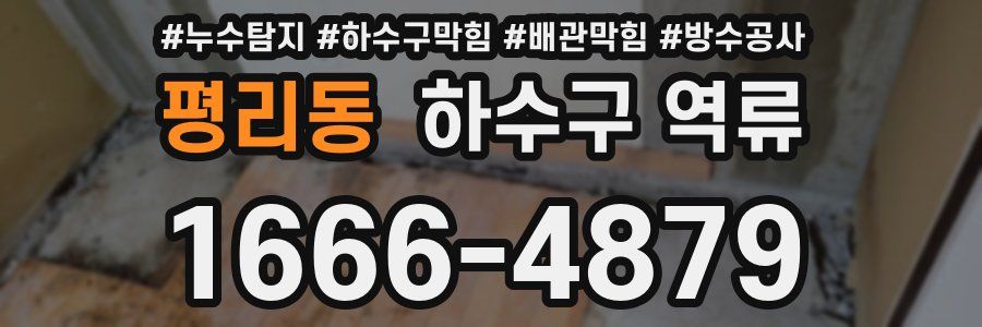 평리동 하수구 역류