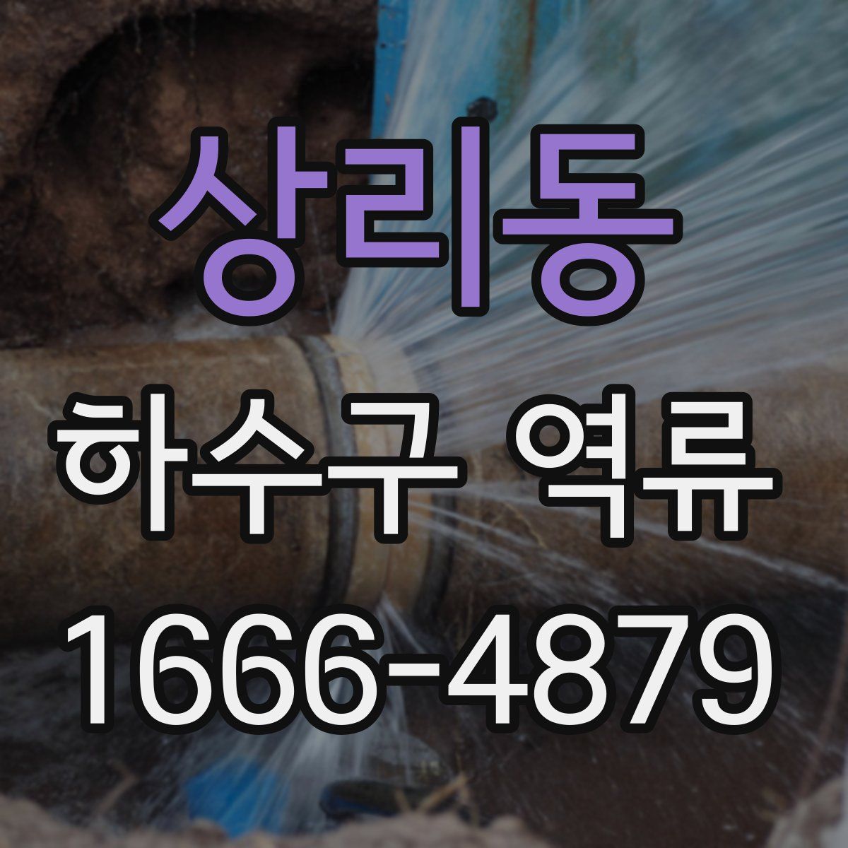 상리동 하수구 역류