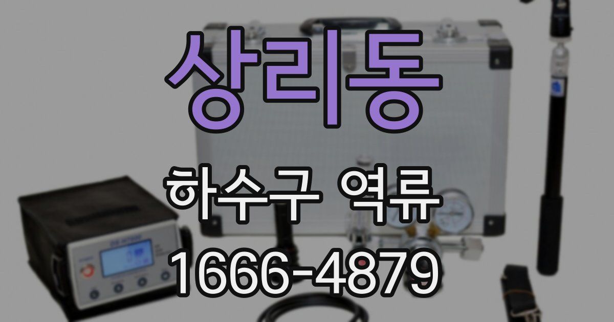 상리동 하수구 역류