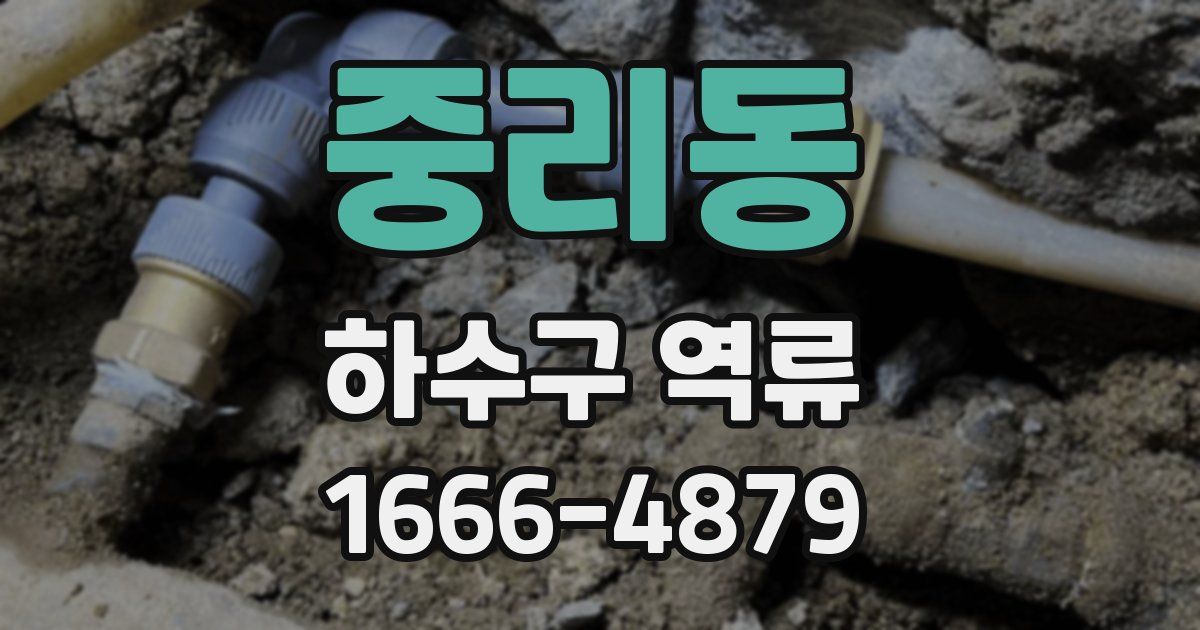 중리동 하수구 역류