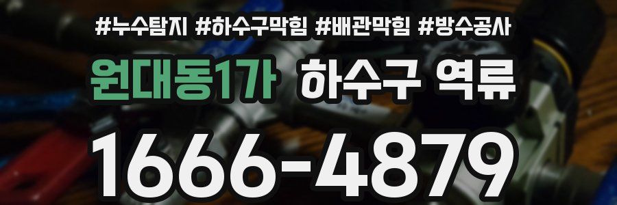원대동1가 하수구 역류