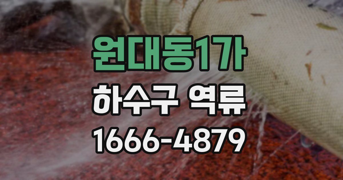 원대동1가 하수구 역류