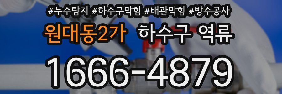 원대동2가 하수구 역류