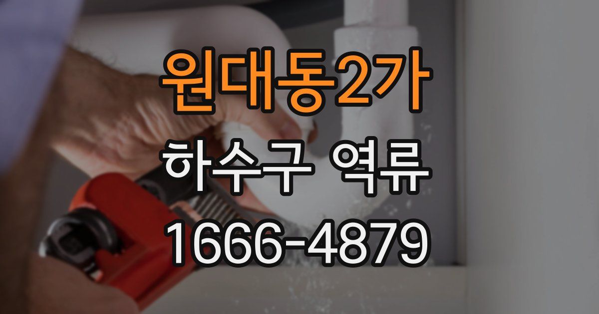 원대동2가 하수구 역류