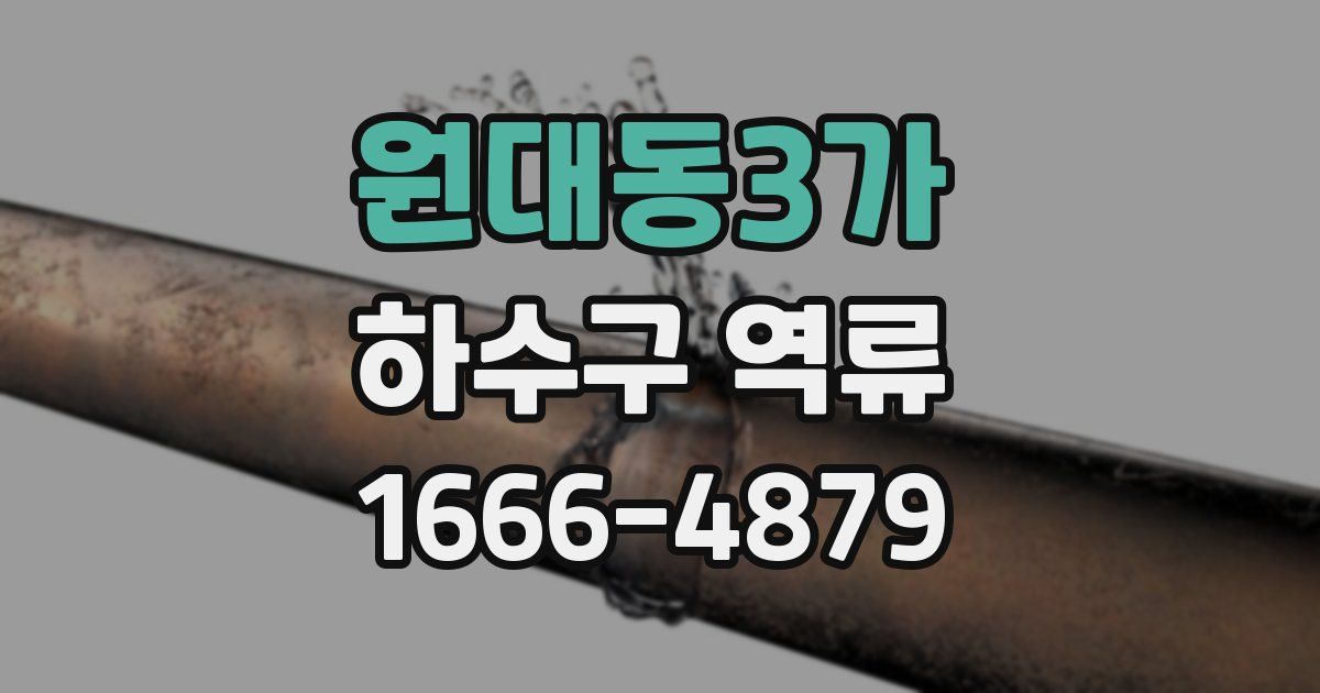 원대동3가 하수구 역류