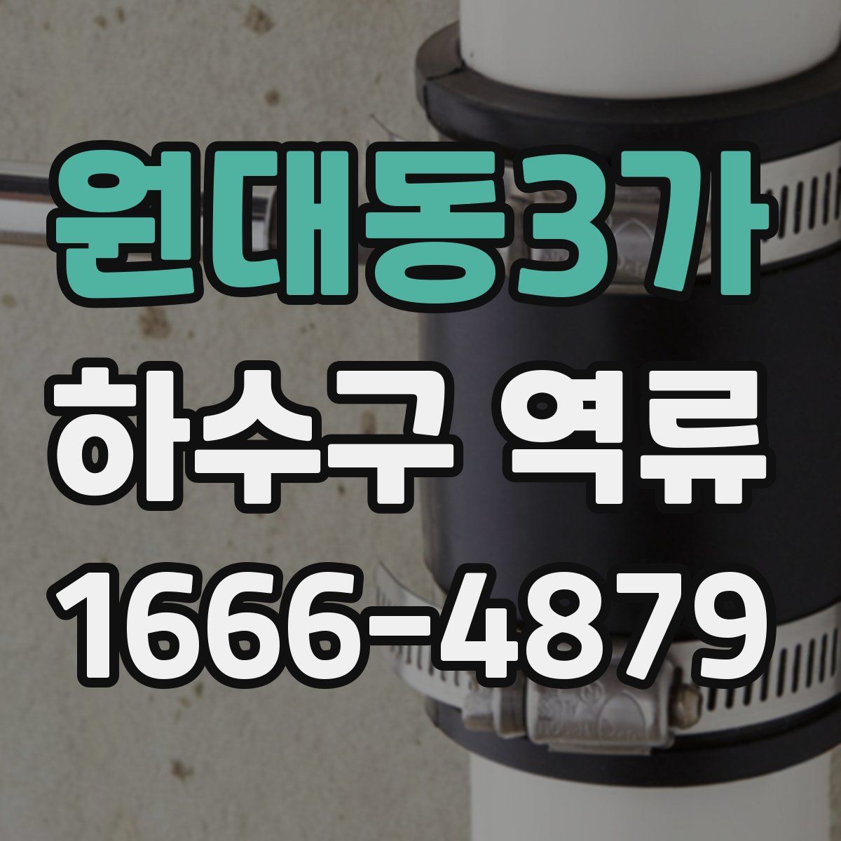 원대동3가 하수구 역류