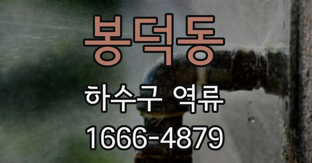 봉덕동 하수구 역류