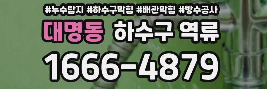 대명동 하수구 역류