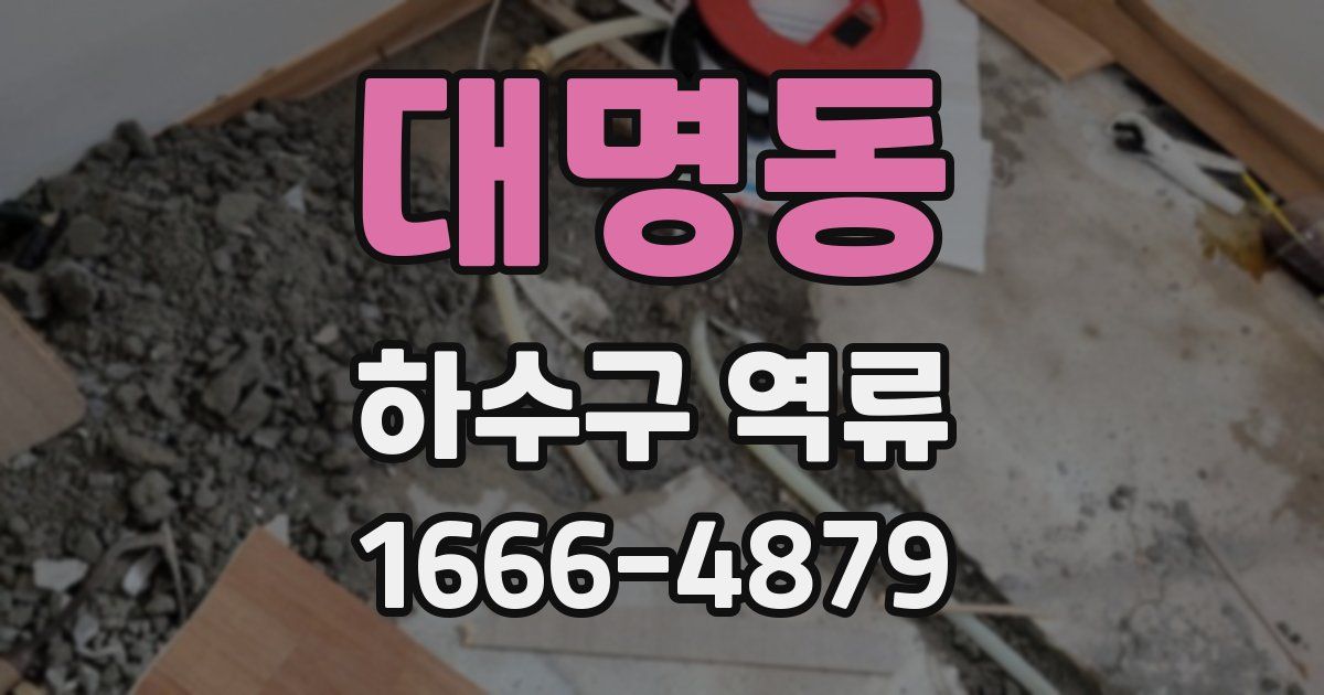 대명동 하수구 역류