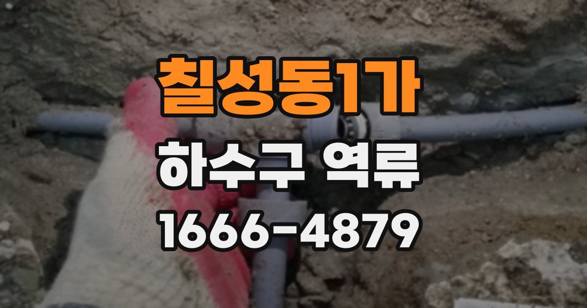 칠성동1가 하수구 역류