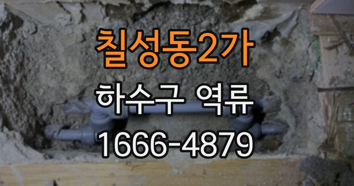 칠성동2가 하수구 역류