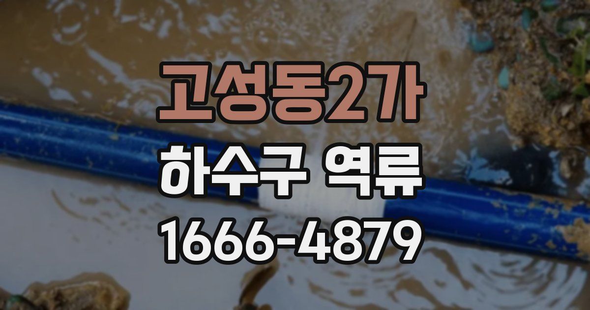 고성동2가 하수구 역류