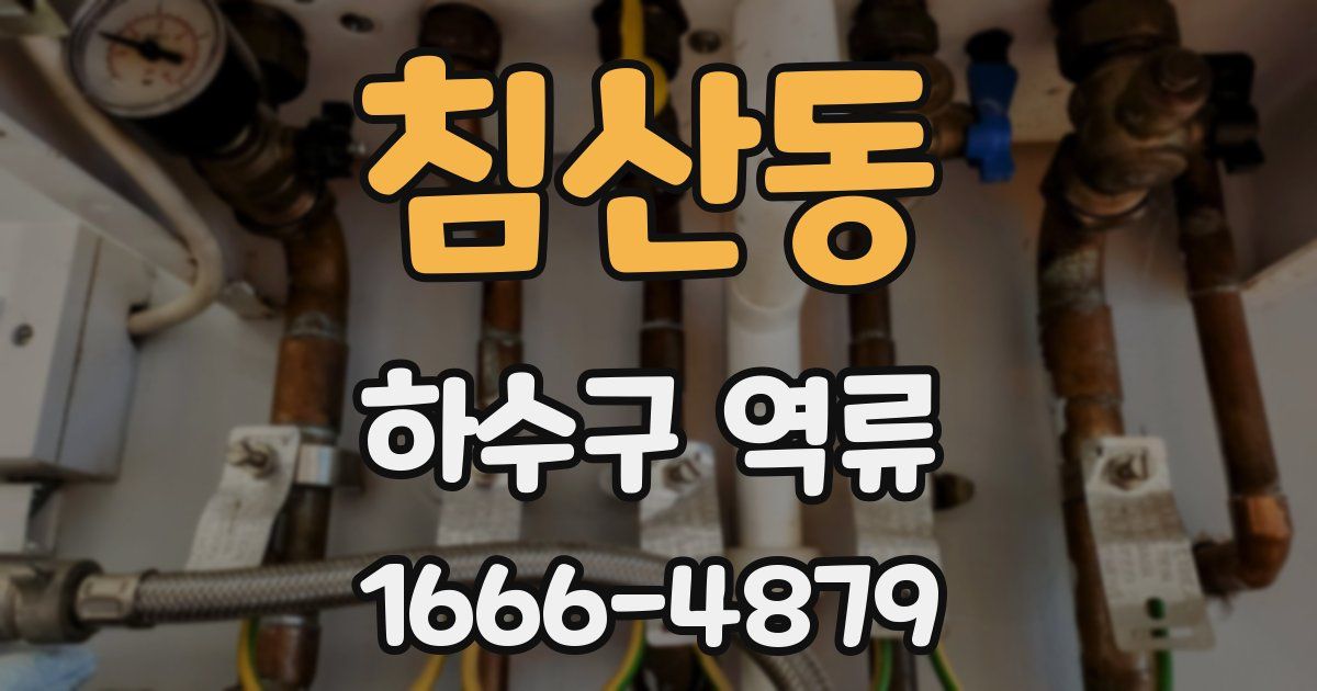 침산동 하수구 역류