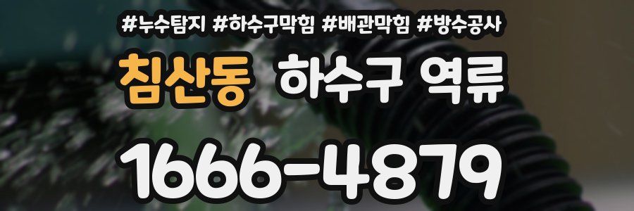 침산동 하수구 역류