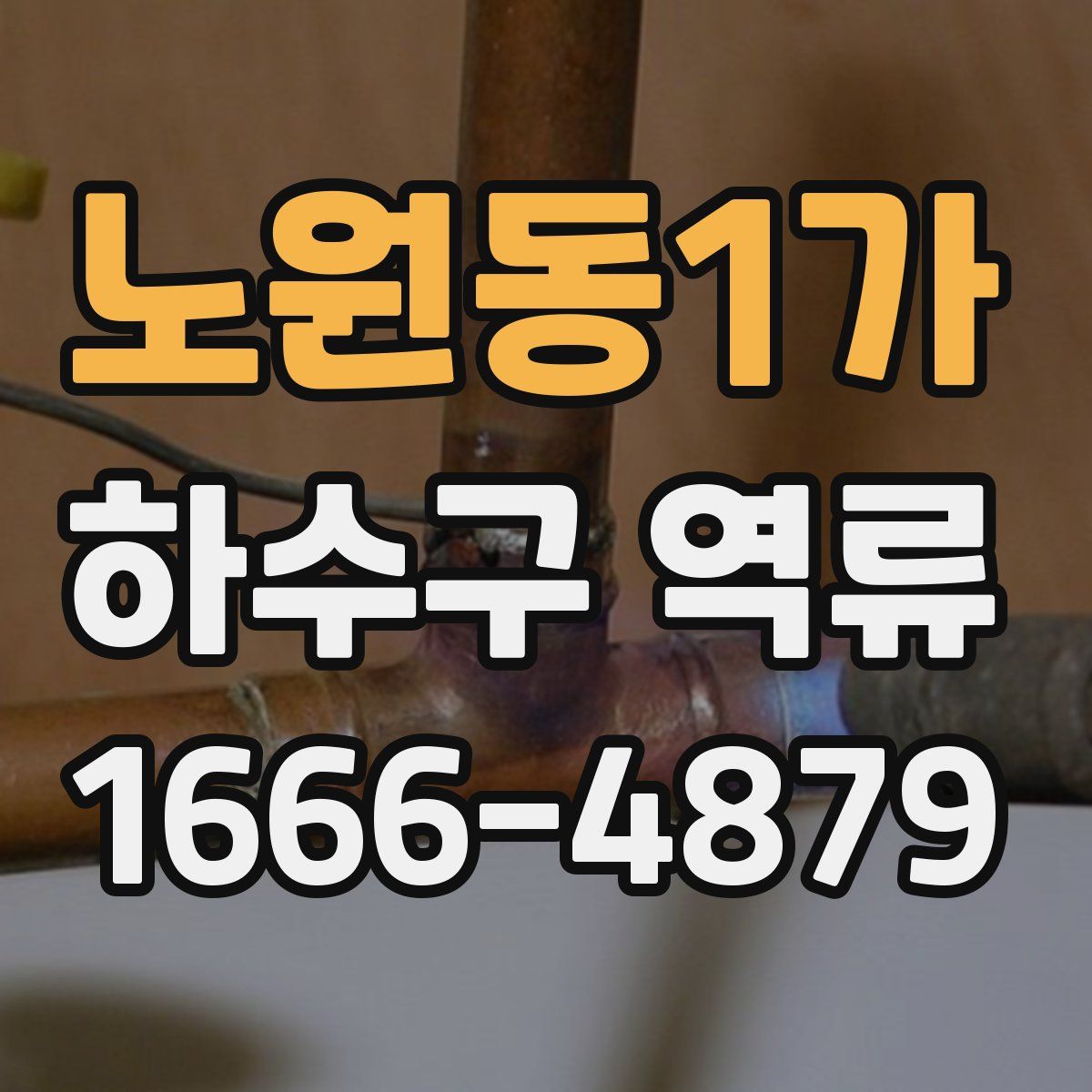 노원동1가 하수구 역류