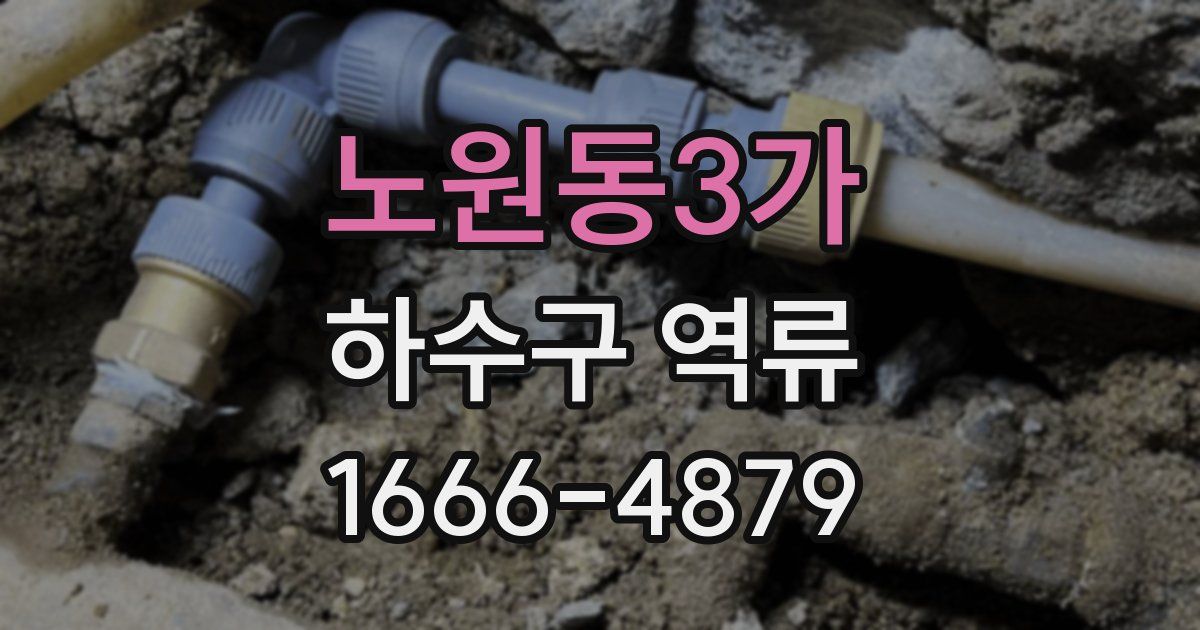 노원동3가 하수구 역류