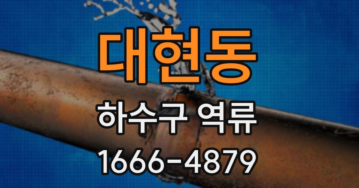 대현동 하수구 역류