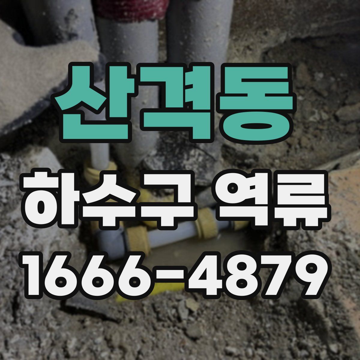 산격동 하수구 역류