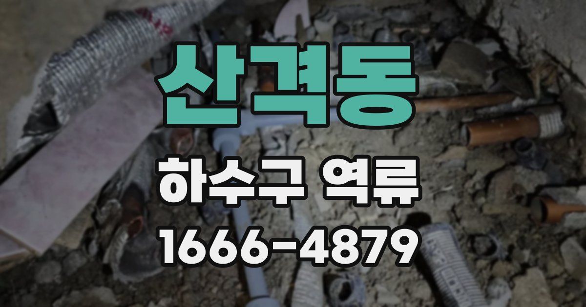산격동 하수구 역류