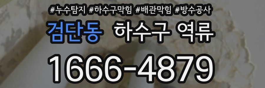 검단동 하수구 역류