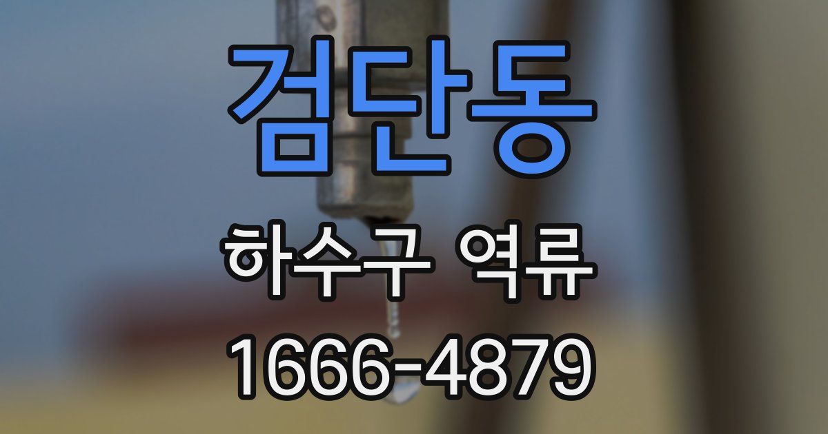 검단동 하수구 역류