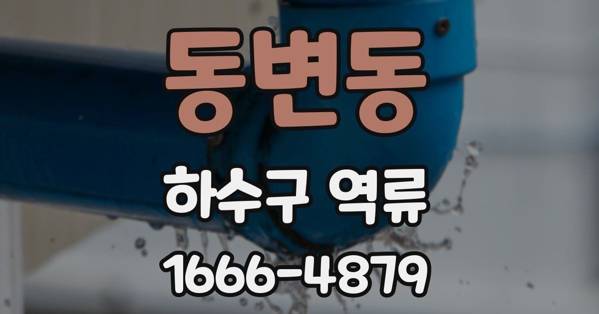 동변동 하수구 역류