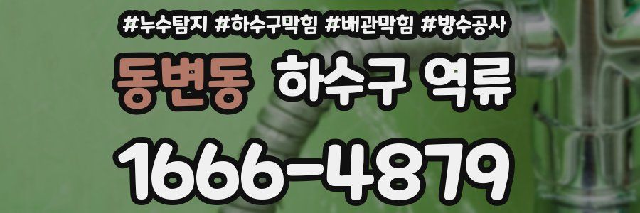 동변동 하수구 역류