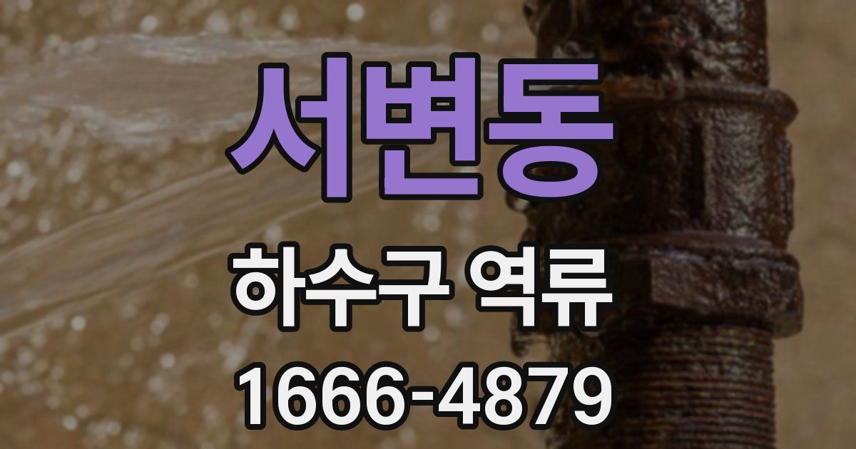서변동 하수구 역류