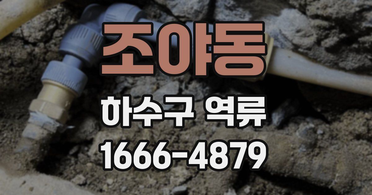 조야동 하수구 역류