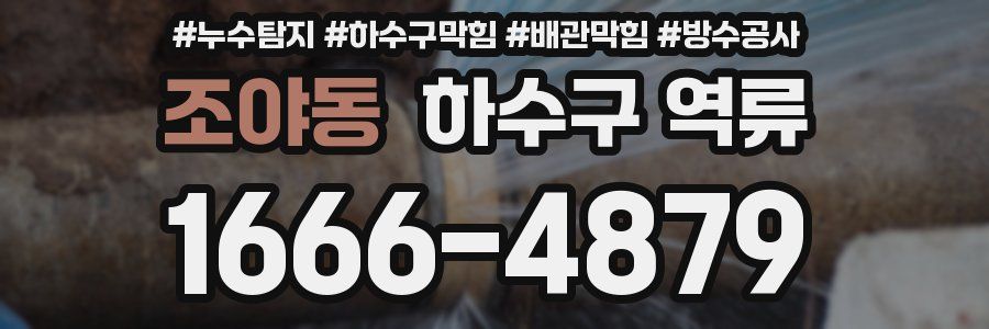 조야동 하수구 역류