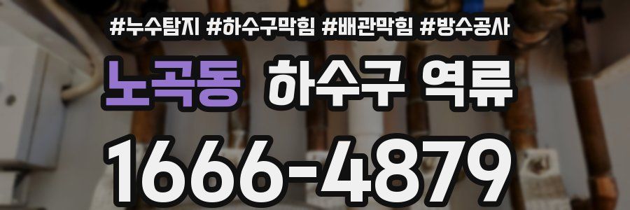 노곡동 하수구 역류