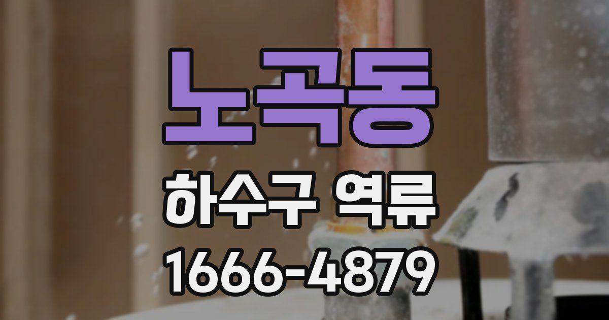 노곡동 하수구 역류
