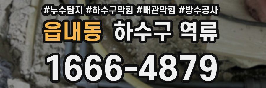 읍내동 하수구 역류