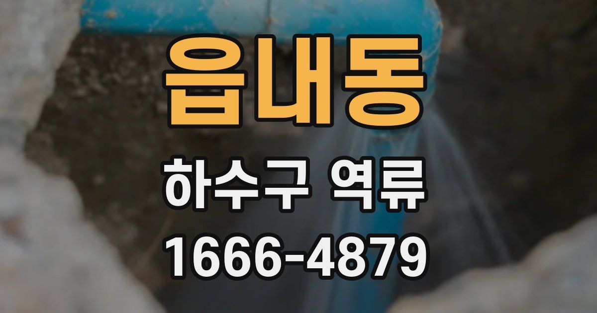 읍내동 하수구 역류