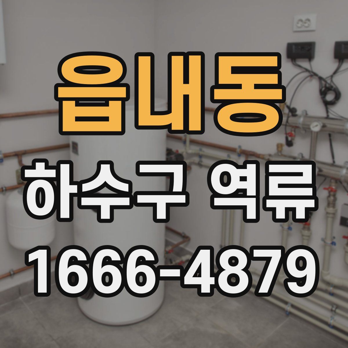 읍내동 하수구 역류