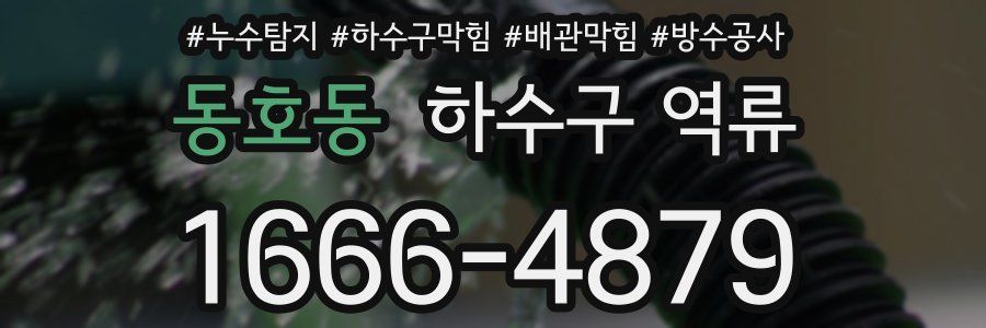 동호동 하수구 역류