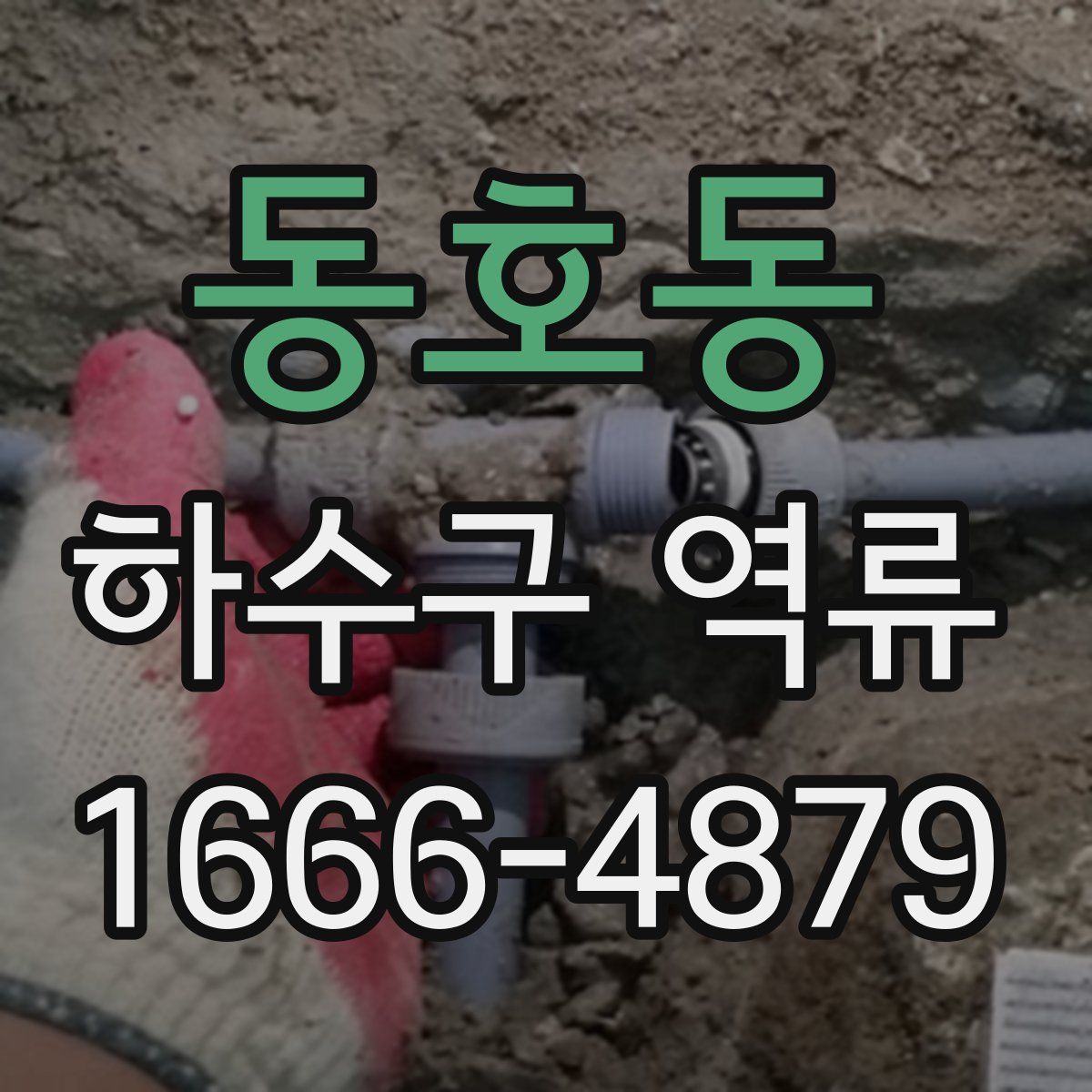 동호동 하수구 역류